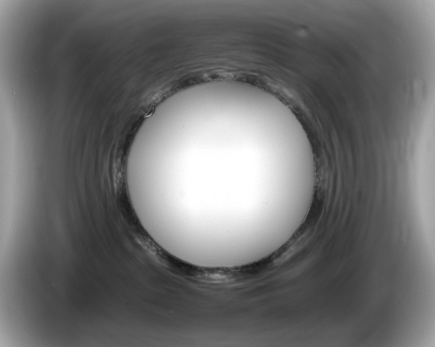 X0000086240285200703291011
