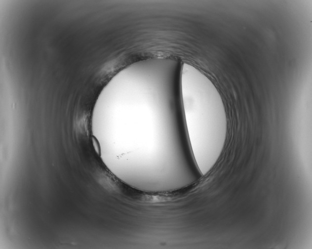 X0000086240286200703291011