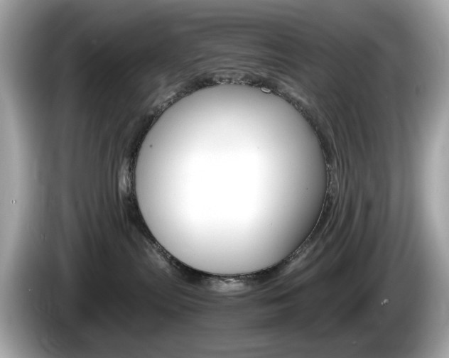 X0000086240287200703291011