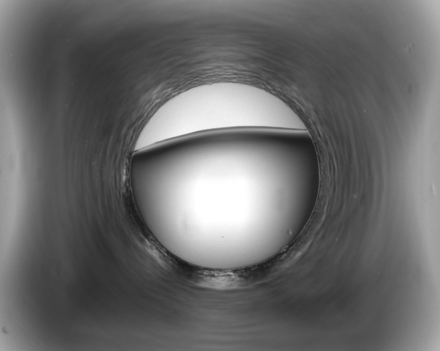 X0000086240288200703291011