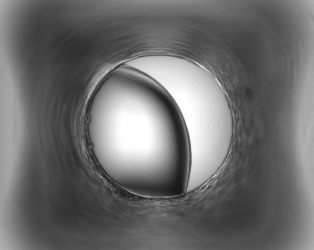 X0000086240289200703291011