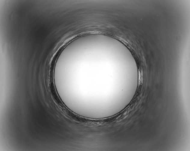 X0000086240291200703291011