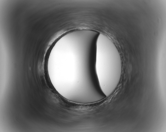 X0000086240292200703291011