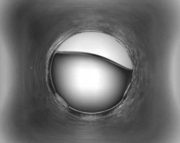 X0000086240293200703291011