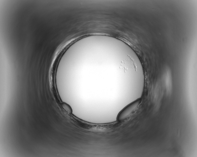X0000086240294200703291011