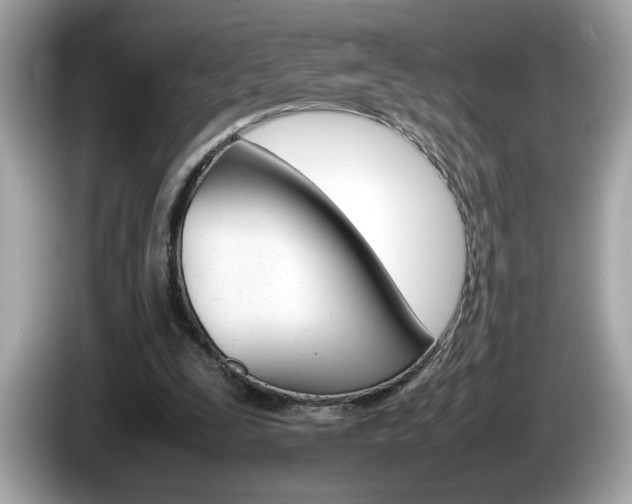 X0000086240295200703291011