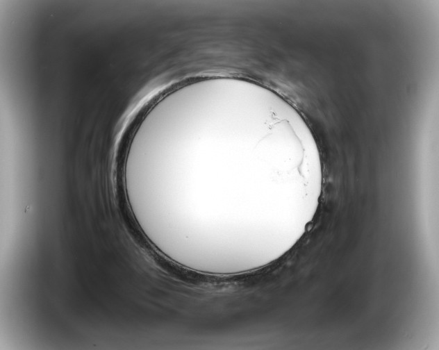 X0000086240296200703291011