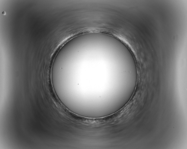 X0000086240297200703291011