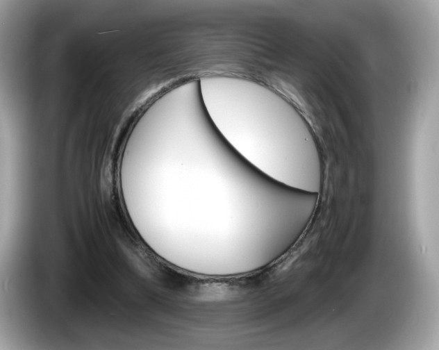 X0000086240298200703291011
