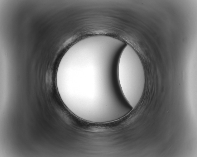 X0000086240300200703291011