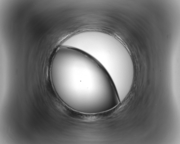 X0000086240301200703291011