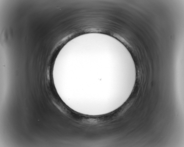 X0000086240302200703291011