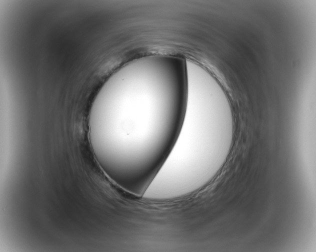 X0000086240305200703291011