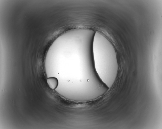 X0000086240306200703291011