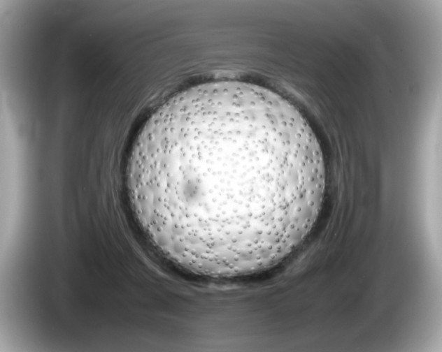 X0000086240311200703291011
