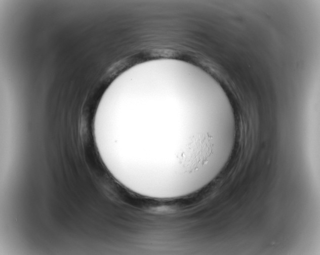X0000086240312200703291010