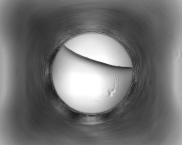 X0000086240314200703291010