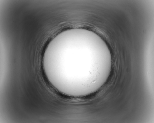 X0000086240315200703291010