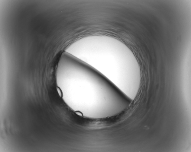 X0000086240319200703291010