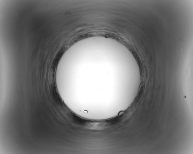 X0000086240323200703291010