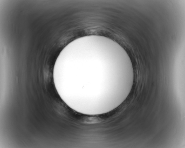X0000086240324200703291010