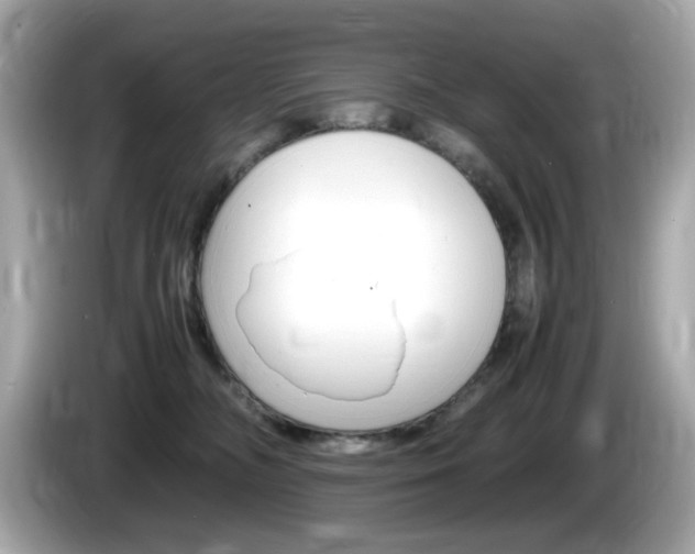 X0000086240326200703291010
