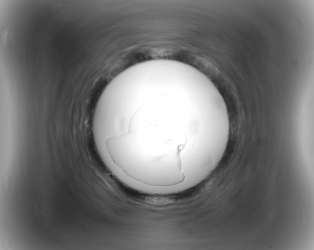 X0000086240327200703291010