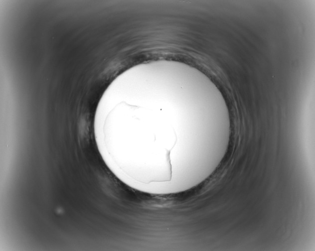X0000086240328200703291010