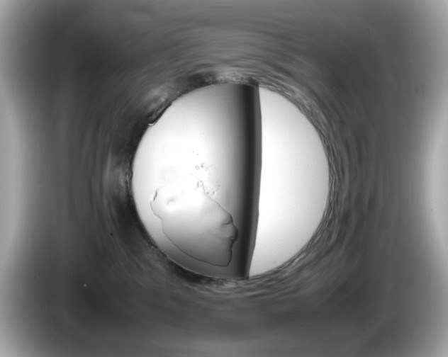 X0000086240329200703291010