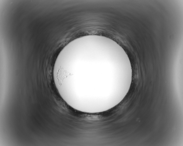 X0000086240332200703291010