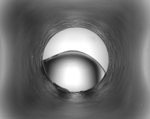 X0000086240333200703291010