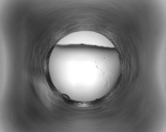X0000086240335200703291010