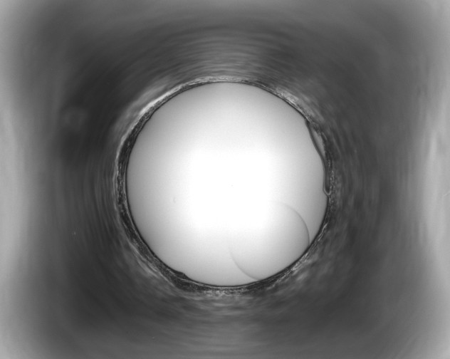 X0000086240338200703291010