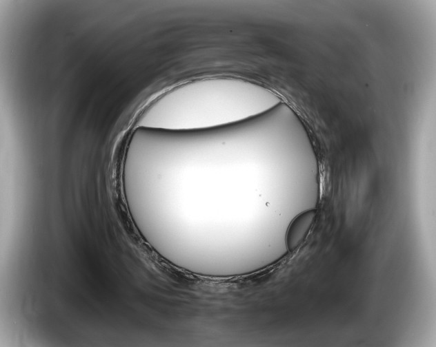 X0000086240339200703291010