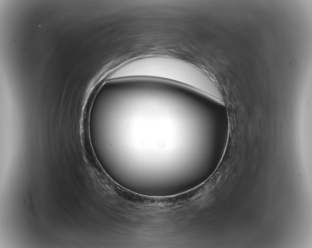 X0000086240340200703291010