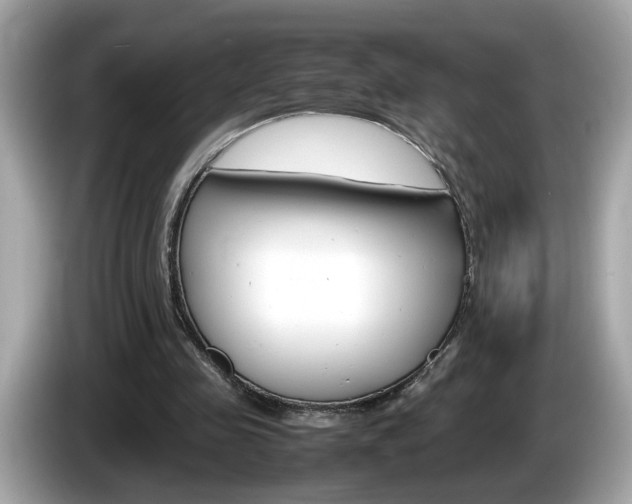 X0000086240341200703291010