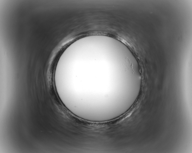 X0000086240343200703291010