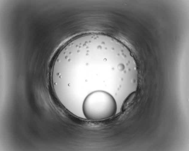 X0000086240346200703291010