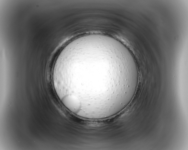 X0000086240347200703291010