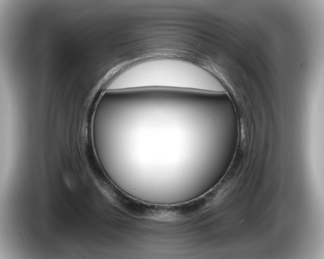 X0000086240348200703291010