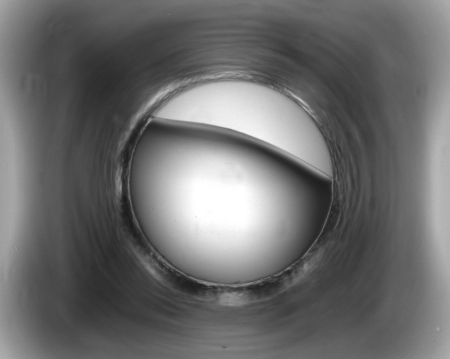 X0000086240350200703291010