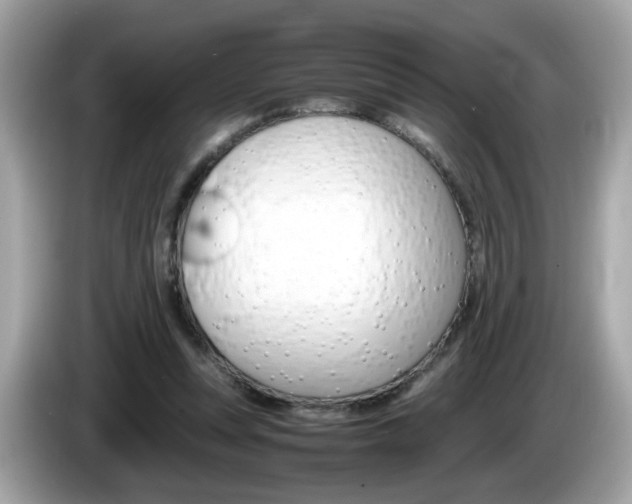 X0000086240351200703291010