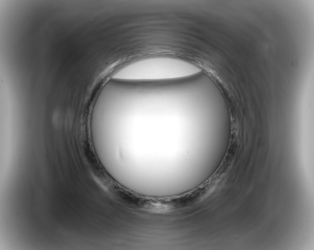X0000086240352200703291010