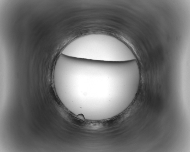 X0000086240353200703291010