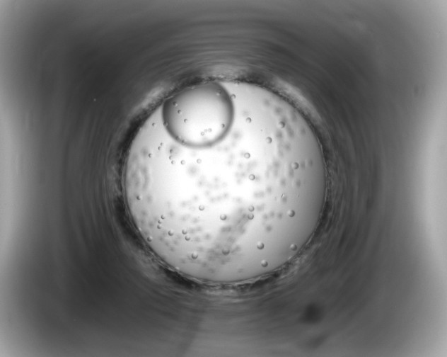 X0000086240354200703291010