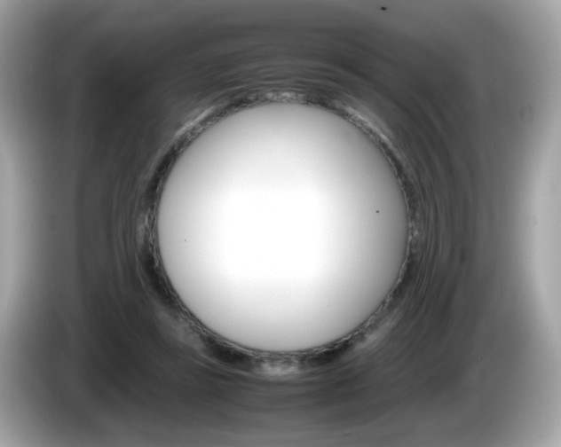 X0000086240355200703291010