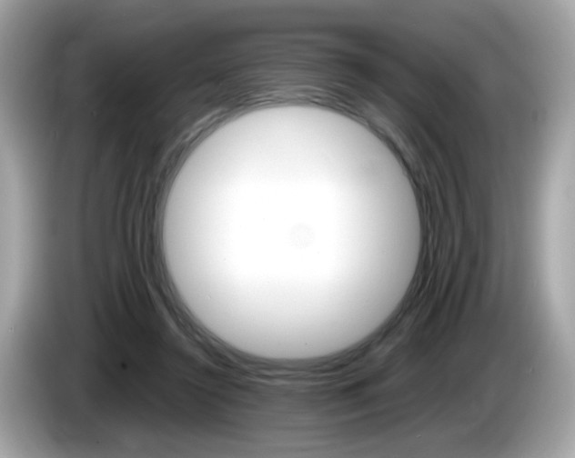 X0000086240356200703291010