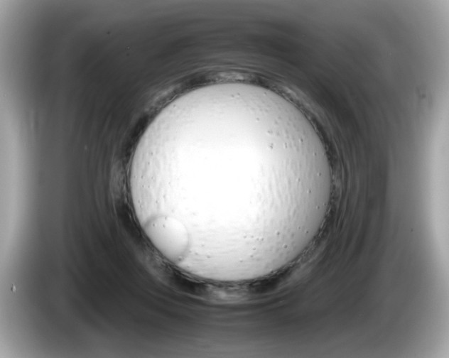 X0000086240359200703291010