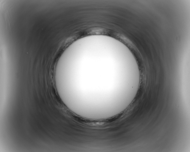X0000086240361200703291010