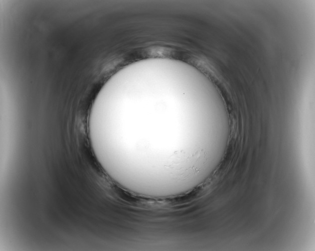 X0000086240363200703291010